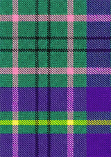 Taylor_Weathered_Tartan_Fabric