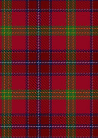 Telfer Tartan Fabric