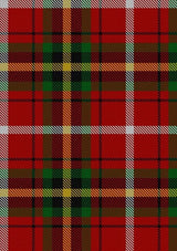 Thirkill_Dalgliesh_Tartan_Fabric_6275