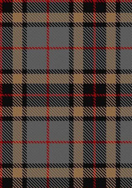 Thompson_Thomson_MacTavish_special_grey_Tartan_Fabric_325