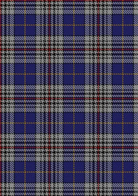 Thompson_Variant_Tartan_Fabric_1624