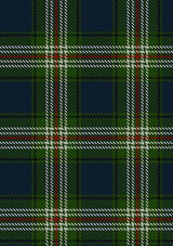 Todd_2_Tartan_Fabric_5107