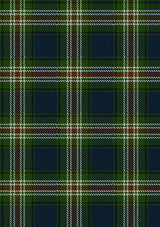 Todd_Tartan_Fabric_5107