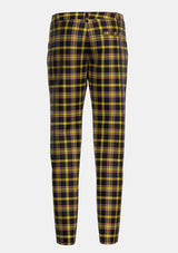 Traditional_Brady_George_and_Family_Tartan_13737_trouser_back_image