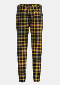 Traditional_Brady_George_and_Family_Tartan_13737_trouser_back_image