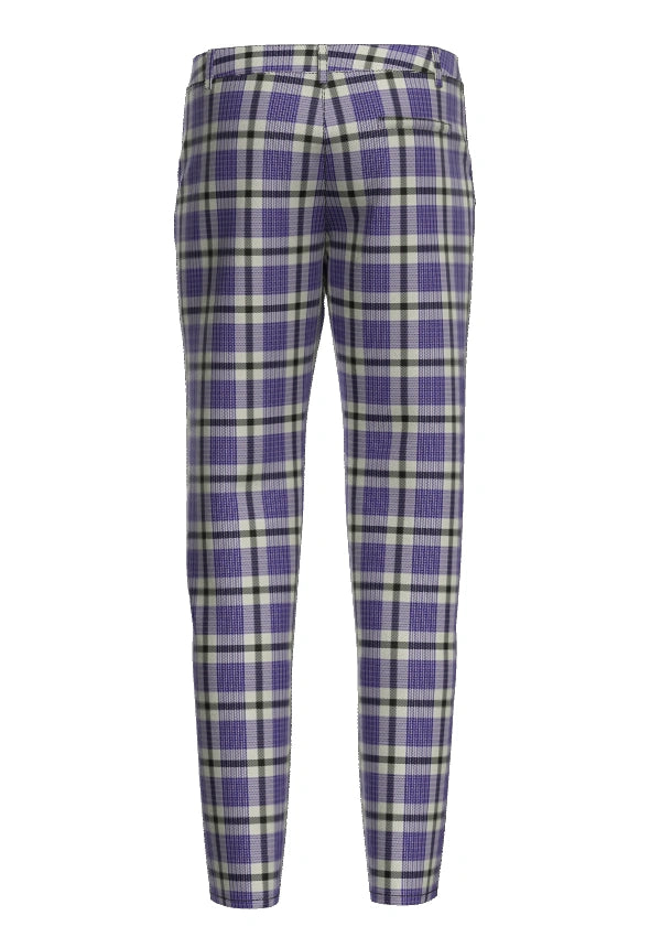 files/Traditional_Hanna_Bible_Personal_Tartan_619_trouser_back_image