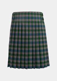 Traditional_Lloyd_of_Wales_Tartan_kilt_5765_back_image_with_pleated_design_and_adjustable_buckles_for_men