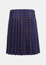 Traditional_MacLaine_of_Lochbuie_Tartan_kilt_487_back_image_with_pleated_design_and_adjustable_buckles_for_men