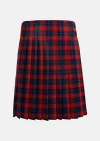Traditional_McKnight_Dress_Personal_Tartan_2184_kilt_back_image_with_pleated_design_and_adjustable_buckles_for_men