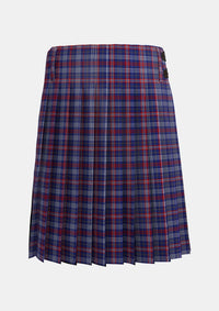 Traditional_Parker_USA_Tartan_6445_kilt_back_image_with_pleated_design_and_adjustable_buckles_for_men