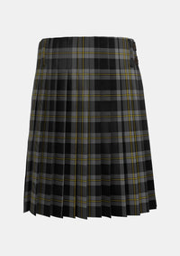 Traditional_Perry_Ancient_Personal_Tartan_1213_kilt_back_image_with_pleated_design_and_adjustable_buckles_for_men