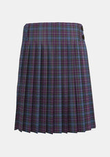 Traditional_Riley_s_Theme_Tartan_kilt_10657_back_image_with_pleated_design_and_adjustable_buckles_for_men