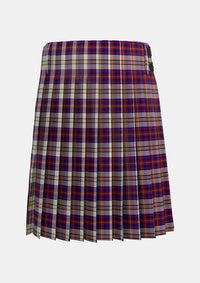 Traditional_Walker_Dress_Personal_Tartan_2070_kilt_back_image_with_pleated_design_and_adjustable_buckles_for_men