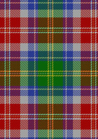 Veitch Tartan Fabric