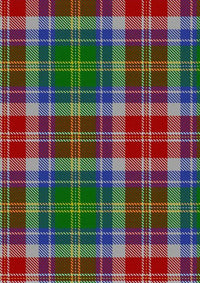 Veitch_Tartan_Fabric_13071