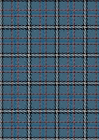 Vivienne_Westwood_fabric_tartan_7489