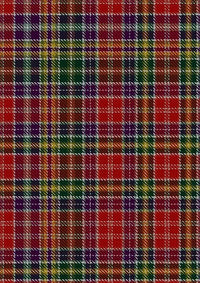 Waggrall_Tartan_Fabric_1691