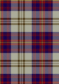 Walker_Dress_Personal_Tartan_Fabric_2070