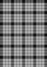 Wallace_Dress_Tartan_Fabric_1251