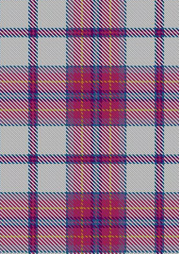 Ward_Craig_Dress_Tartan_Fabric_12819