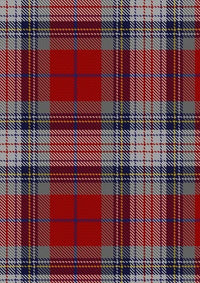 Warden_Tartan_Fabric_7294