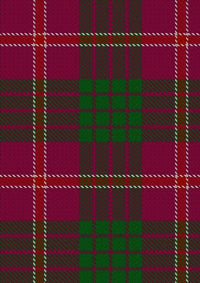 Wasko_Personal_Tartan_Fabric_3908