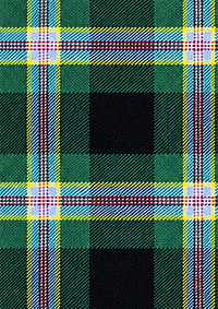 Wells_Ancient_Tartan_Fabric