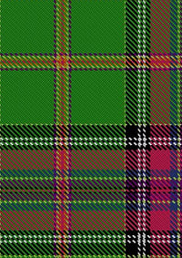Whyte_John_Family_Tartan_Fabric_14359