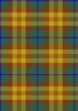 Wild_Mustard_Dreams_Tartan_Fabric_10933