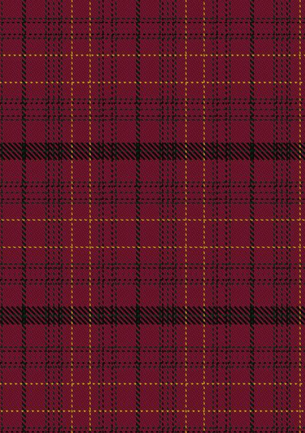 Williams of Wales Tartan Fabric