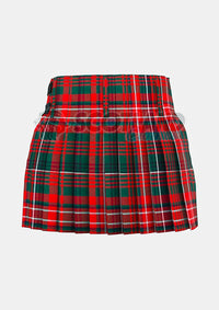 Wilson Clan Tartan Kilt Back