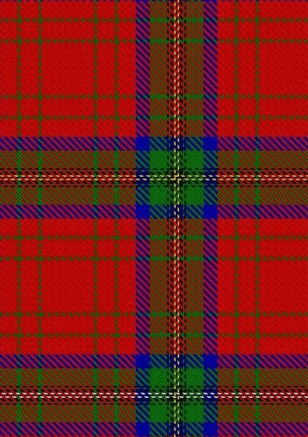 Wood_Dress_Tartan_Fabric_10359