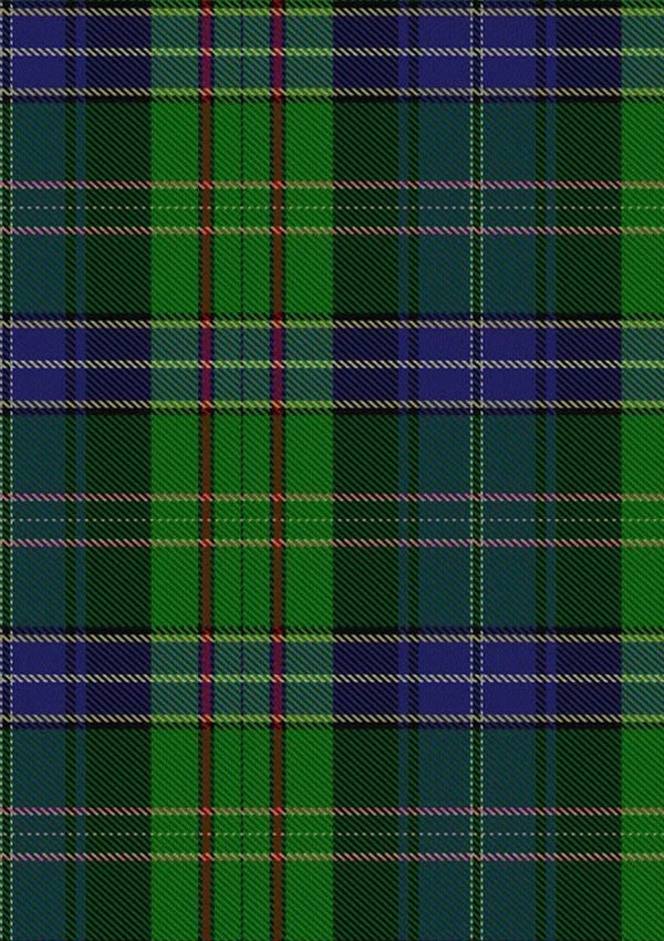 Young_Melvina_Tartan_Fabric_2546