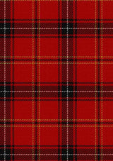 Aberdeen Football Club Tartan Fabric