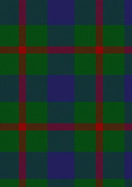 Agnew Tartan Fabric