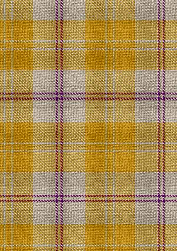  Ailsa Gold Tartan Fabric