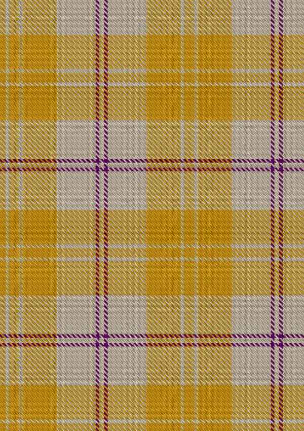  Ailsa Gold Tartan Fabric