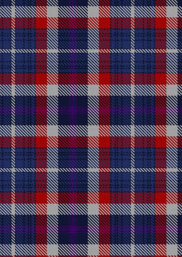 Auld Alliance Tartan 