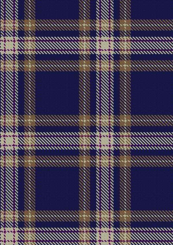 Baker Tartan Fabric