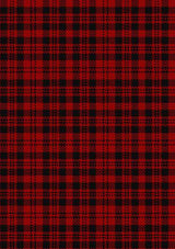 border-reiver-the-tartan-fabric