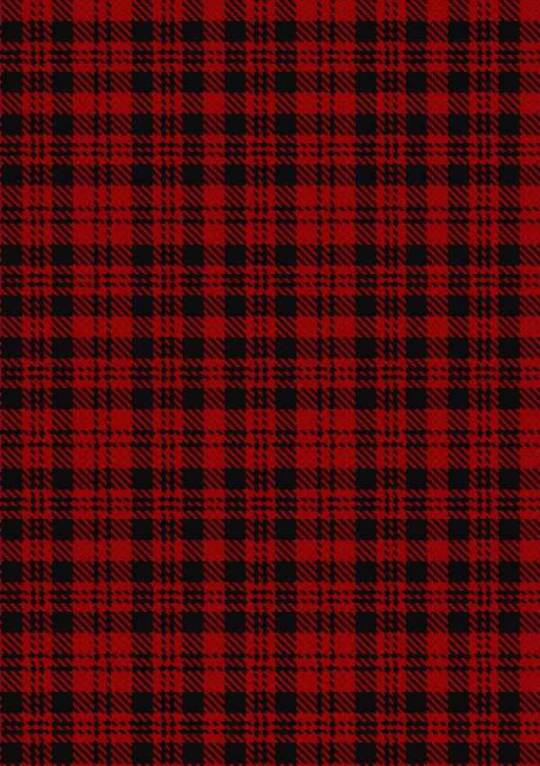 Border Reiver The Tartan Fabric