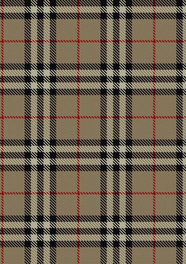 Burberry tartan Fabric