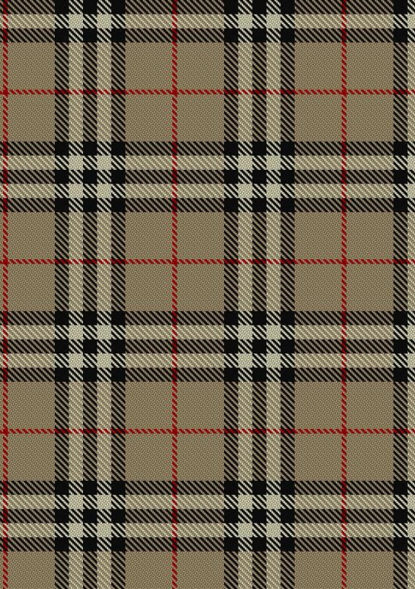Burberry tartan Fabric