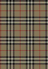 Burberry tartan Fabric