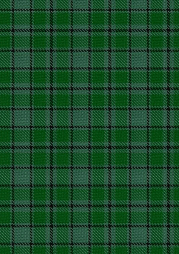 Campbell Simpson Tartan Fabric