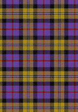 casey-tartan-fabric