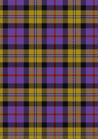  Casey Tartan Fabric