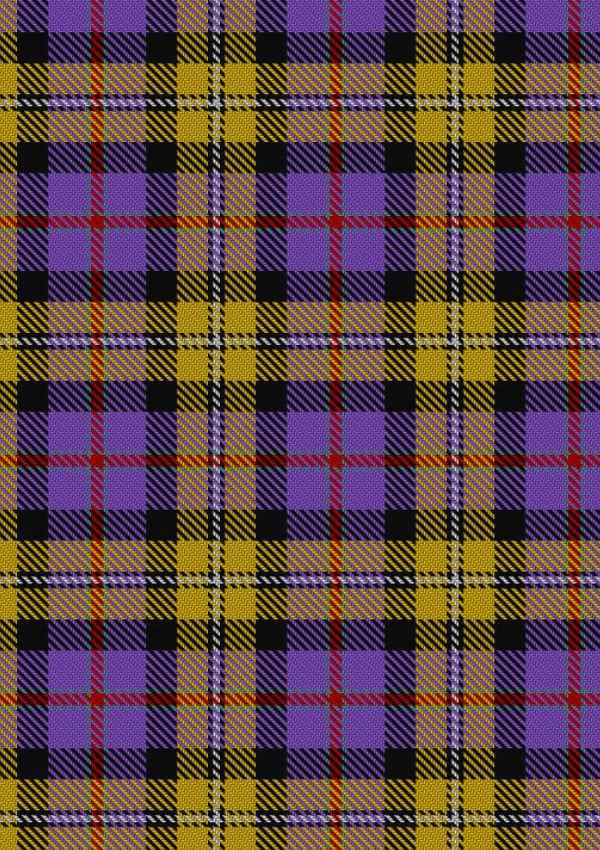  Casey Tartan Fabric