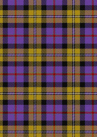  Casey Tartan Fabric