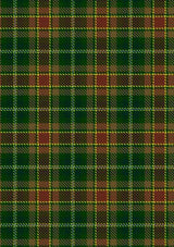 dixon-clyde-tartan-fabric